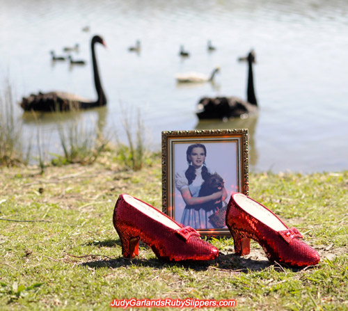 Judy Garland's ruby slippers